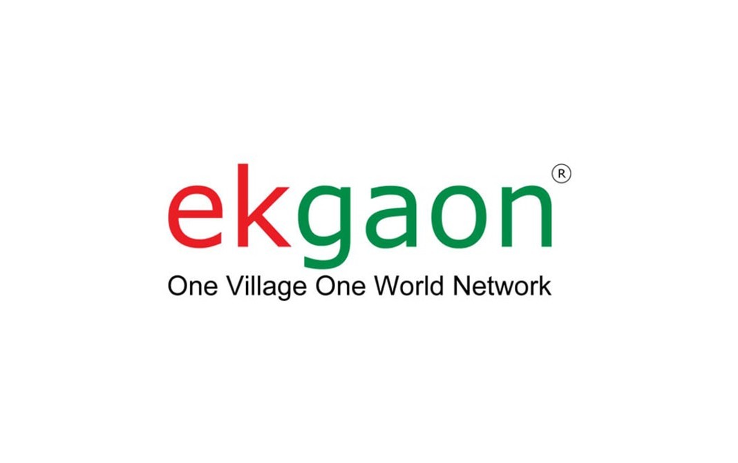 Ekgaon Moringa Leaves Powder    Pack  50 grams